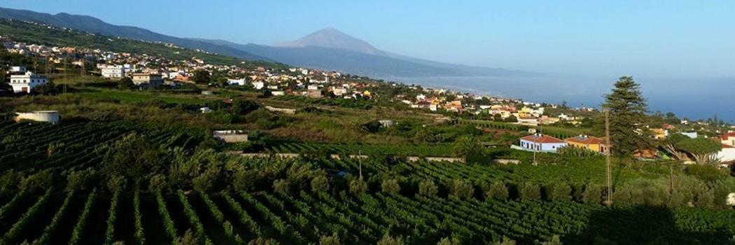 Stunning Views At Tenerife Tacoronte Luaran gambar